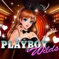 Senha De Login Do Viggoslots